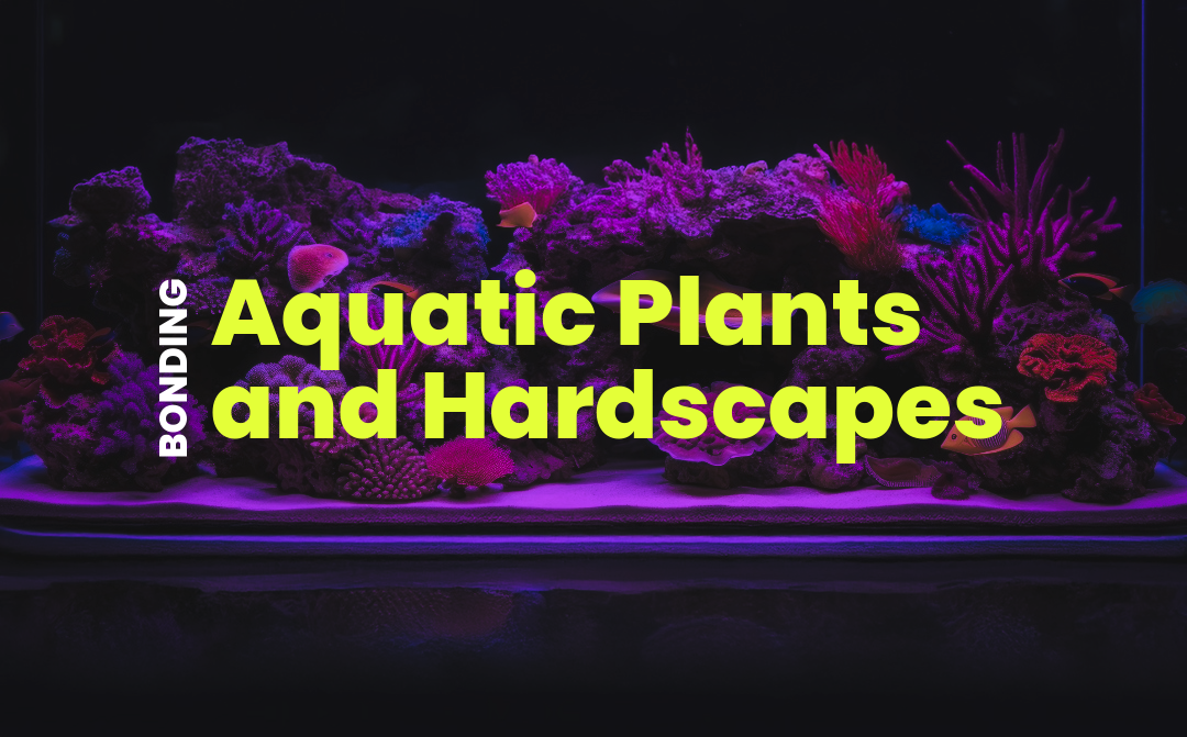 Bonding Aquatic Plants and Hardscapes